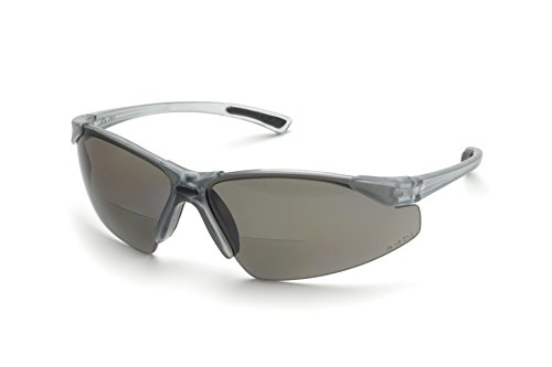 Защитни очила Delta Plus RX200 с бифокальными точки + 1,0 Диоптър