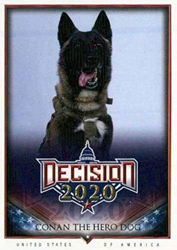 2020 Плоско решение 495A Търговска картичка Конан -Кучето-Герой