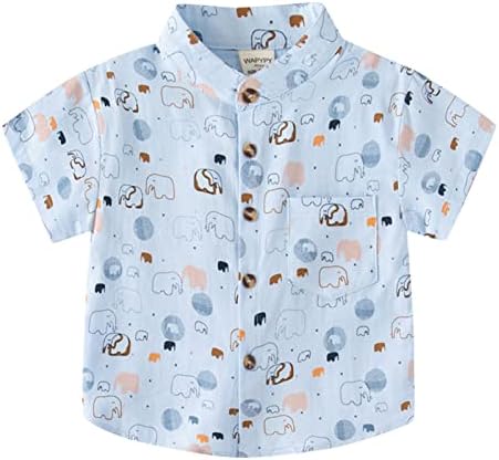 Тениска с къс ръкав за малки момчета и момичета, Детски Блузи с шарени Великденски Мультяшного Заек, Тениска (0314I-Син, на 3-4 г.)