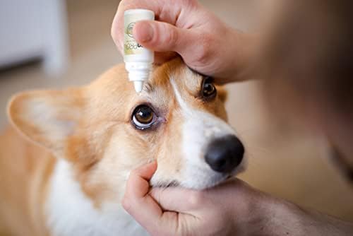 LumenPro капки за очи за домашни любимци - Очни капки за подобряване на зрението кучета с катаракта - капки за очи с ланостеролом