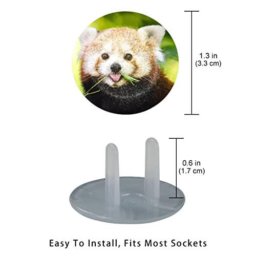 Капачки за контакти с хубав езикът на миеща мечка 24 бр. В опаковка - Защитни капачки за контакти, за деца – Здрави и устойчиви – Лесно