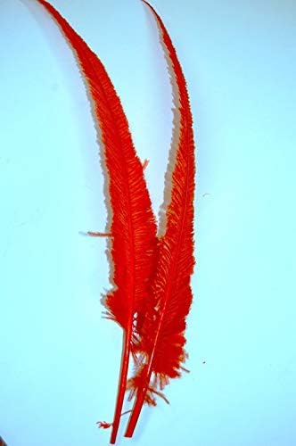 Xucus търговия на Едро с 50 бр., боядисани в Червен цвят Страусиные пера Рея 18-28 инча, Достъпни Страусиные пера за задните