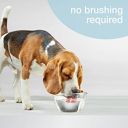 Nylabone Подобрена Водна добавка за грижа за устната кухина за кучета - Течност за премахване на зъбен камък с Оригинала 32 грама.