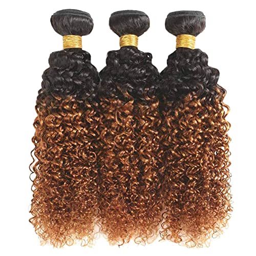 Dream Diana Омбре Къдрава Снопове Бразилски Естествена Коса Тъкане На Къдрава Коса 3 Връзки T1b 30 Цвят (16 18 20)