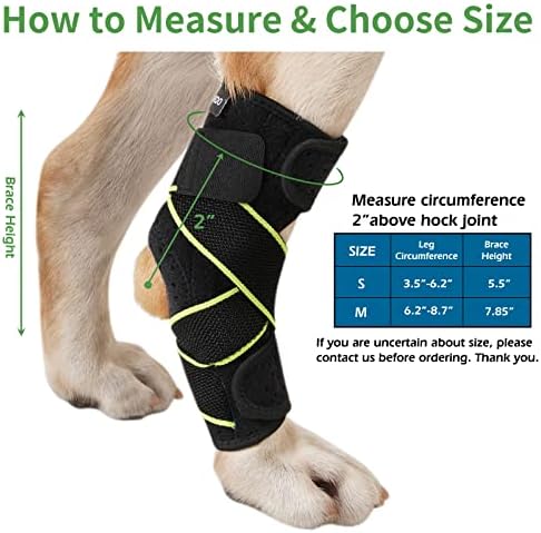 Скоба за скакателните стави на задния крак на кучето PETNEDO, Двойка Двойни Компрессионных скоби за краката на кучето с метални пружинящими ивици, Защитава раната зад?