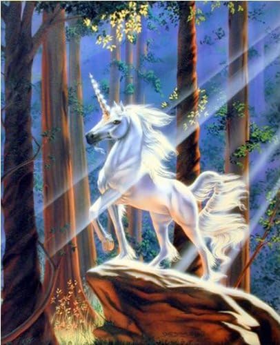 Светлина в гората Сю Dow Еднорог Кон Стенен Декор Художествена Печат на Плакат (16x20)