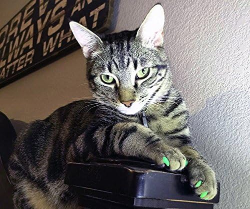 Purrdy Paws Доставя Меки Шапки за нокти на 6 месеца за котки с Метален Бронзов покритие Среден размер - Допълнителни Лепила