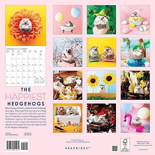 Стенен календар Graphique 2024 Най-щастливи таралежи | 12 x 12 | Плътна хартия | Органайзер за дома и офиса | Голяма месечна окото | 3 езика