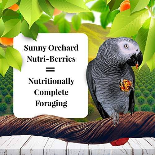 Фураж за домашни птици LAFEBER'S Sunny Orchard Nutri-Berries, Приготвена от съставки, които не съдържат ГМО и полезни за