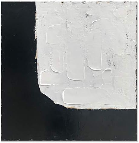 zoinart Абстрактни Съвременна Живопис с маслени Бои върху Платно Стенно Изкуство 36x36 Инча, Ръчно Рисувани Черно-Бяло Произведение