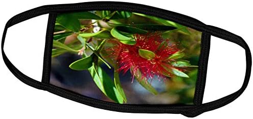 3dRose Jos Fauxtographee - Цъфтящо Махагон - Пискюл, Подобно на червен цвят на дървото през пролетта - Маска за лице (fm_288634_1)