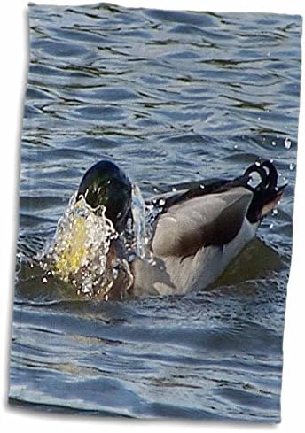 Хавлии за къпане 3dRose Джаки Popp Birds - Мъжки патица-кряквы (twl-195160-3)