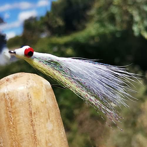 Мухи за риболов риболов, летят Clouser Minnow, 12 бр. в асортимент от Солени /Сладководни мухи с водоустойчива кутия. Размер на куката 2 ,