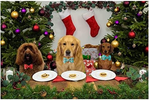 Универсален 1 Коледен комплект Нашийник с папийонка, Снежен човек, Коледни Цветя, Нашийник за кучета-Голям Среден размер (Цвят: B размер: