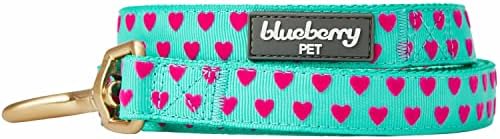 Каишка за кучета Blueberry Пет Сърце Flocking за Свети Валентин за малки Кучета, Мятно-зелен, 5 фута x 5/8