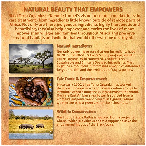 Shea Terra Organics Органично масло от шеа на първо студено пресоване – S. Африканска Лавандула | Натурален против Стареене Дневен