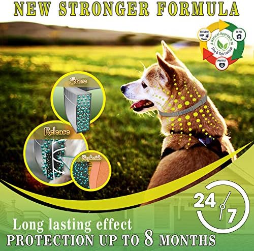 Естествена защита от бълхи за кучета, Трайни яка, безопасен и ефективен, водоустойчив, профилактика на 8 месеца, един размер