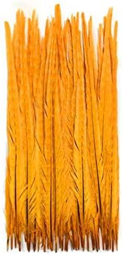 XZEN Избелени, Боядисани с Естествени Пера от Фазан 18-20 Украса от Плюмажа САМ Занаятите Опаковка по 1000 броя (оранжев)