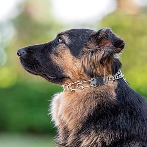 Нашийник за кучета Herm Sprenger от неръждаема стомана с быстроразъемной закопчалка-клик за кучета Малки и средни по размер Тренировъчен