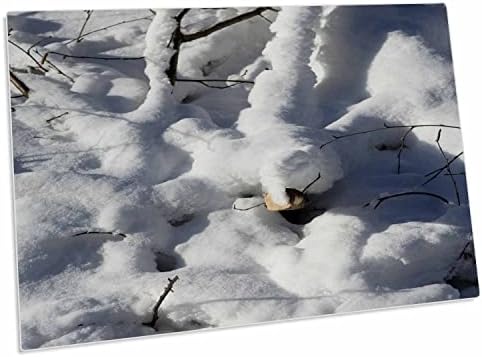 3 Поръсете с бяла пухкава снежна резитба на дървото, клоните на. - Подложки за настолни постелки (dpd-283794-1)