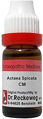 NWIL Д-р Реккевег Германия Actaea Spicata за Разплод, см / ч (11 ml)