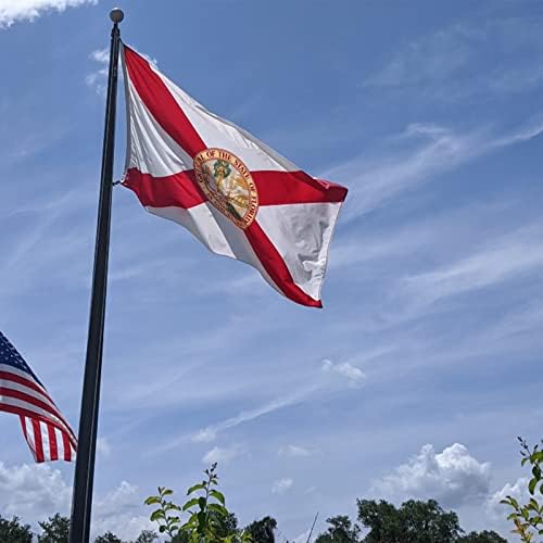 Бродирана Брэдфордом флаг Флорида 4x6 метра, Произведен в САЩ, Ярки цветни Знамена на щата Флорида, за тежки условия на работа