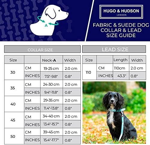 Нашийник за кучета от италианска мека кожа HUGO & HUDSON - Здрава метална тока и Удобни Регулируеми маншети за малки, Средни
