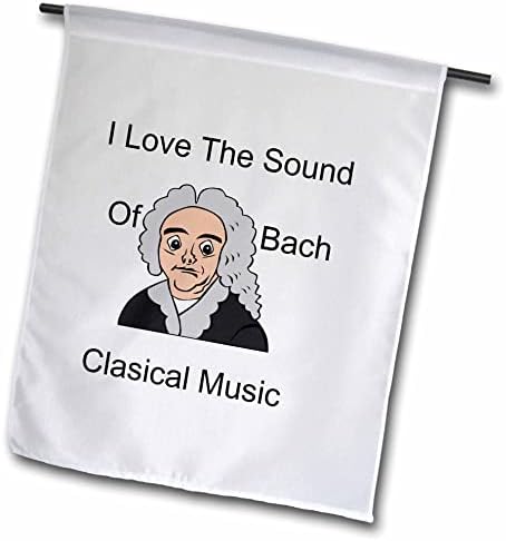 Триизмерен образ на любовта, под Звуците на класическа музика-Бах с мультяшными знамената на Бах (fl-364026-1)