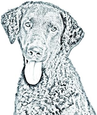 Курчаво-Вълнест Ретривър, Овално Надгробен камък от Керамични плочки с Изображение на Куче