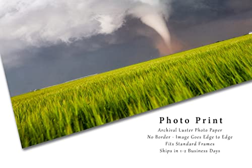 Снимка на буря, Принт (без рамка), Снимка на Торнадо, подобрява прах над Пшеничным поле в пролетен ден в Тексас, Буря, Стенно изкуство,