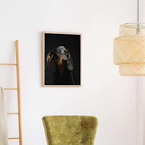 Кученце Такса Куче в Тъмното 5D САМ Диамантена Живопис Фигура Пълен Набор от Тренировки Комплекти Картини, Изкуство, Занаят за Домашен интериор на Стените от 12 x16/16 x2