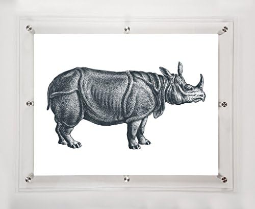 Носорог Мичъл Блек, 25,5x31,5 инча.