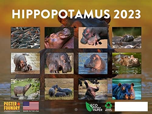 Календар с Бегемотом на 2023 година Месечните Стенни Календари с Дивите животни във формата На Хипопотам Подарък Дивата природа Голям