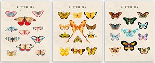 Ботаническата Декор и с монтиран на стената арт-колекция от пеперуди от 3 теми за баня с цвят на Слонова кост - Декор с