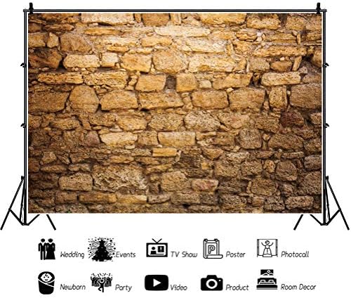 CSFOTO 8x6ft на Фона на Западната стена на Фона на Древния Ерусалим Фон за Снимки на Йерусалим Израел на Фона Тухлени Фонове, за Снимки на Фона на Стената на Плача в Еруса?