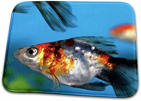 3 сложете ги в аквариум оранжево-сребърна рибка. - Подложки за сушене на чинии (ddm-194513-1)