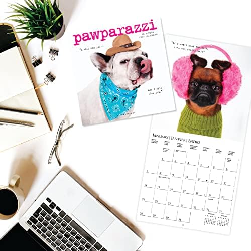 Стенен календар Graphique 2024 Pawparazzi | 12 x 12 | Плътна хартия | Органайзер за дома и офиса | Голяма месечна окото | 3 езика и Отбелязани празници | Страницата за преглед на 4 месе