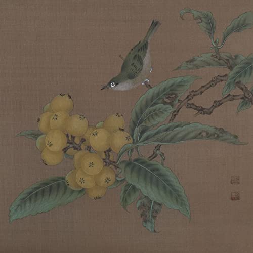 Птица Мушмули Китайска Живопис Ръчно Рисувани Стенни Изкуството на Източна Азия Четка За Миене на Мастило Акварел Декор за Дома: