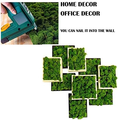 Пана от Оленьего Мъх Запазена, L11.8x W11.8 Натурален Зелен Мъх за декор на стени със собствените си ръце, аксесоари за Дома, Офис декор, на 1 Пана във всяка кутия