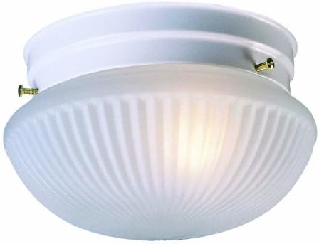 Тавана лампа Design House 507350 Millbridge 2 Light, White