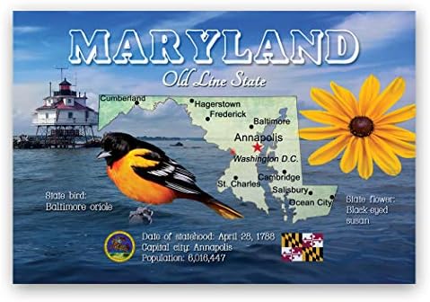 Набор от пощенски картички с карта Мериленд от 20 еднакви картички. Пощенски картички с карта на щата Мериленд. Произведено в САЩ.