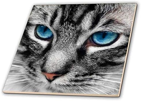 3. Дайте Красива лицето му сребристи райета котка отблизо с прекрасни сини очи.-Теракот, 4 инча (ct_172990_1)