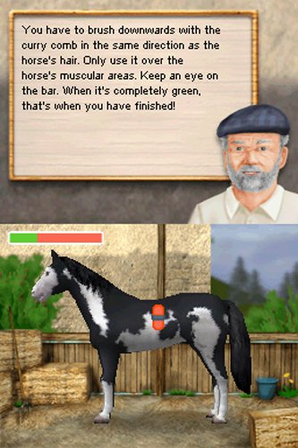Серия от Dreamer: Треньор на коне - Nintendo DS