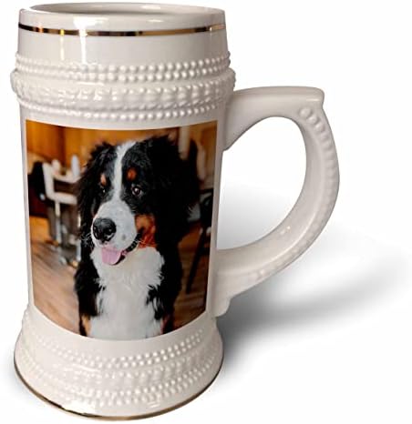 3. Куче от колекция Тори Ан - Сладък бернская планинско куче - Чаша за стейна на 22 унция (stn-362219-1)