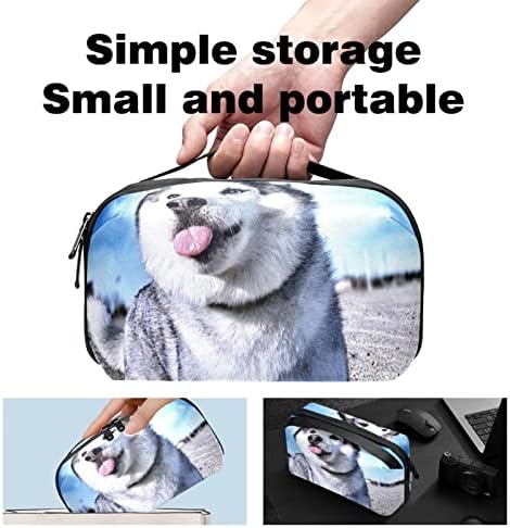 Калъф за носене, чанта, USB-кабел, органайзер, джобен аксесоар, портфейл с цип, домашни любимци, аляскинская куче
