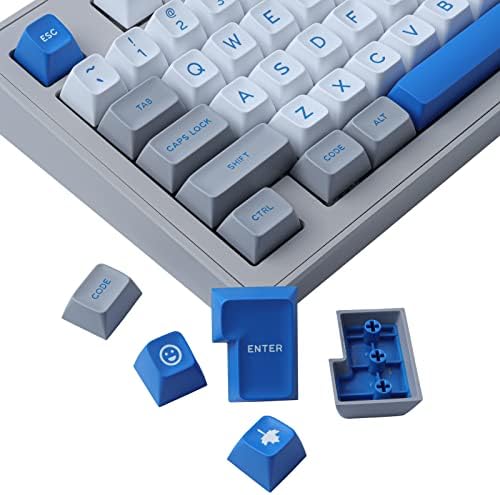 Набор от клавиатури кепета JOMKIZ Double Shot, 173 ключове, комплект за клавиатури на Капсули SA Profile с интервал 2,75 u, 3u, 6,25 u и 7u за превключватели Cherry Mx с подредбата на ISO, ANSI Меха
