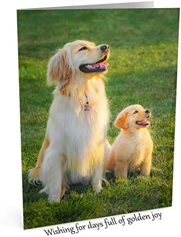Поздравителни Картички Trog's Dogs Голдън Ретривър: Golden Joy II