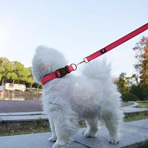 Само IVY & LANE Без колан за кучета Комплект от 2 Светлоотразителни каишки за кучета (Розово-Червен-XL)