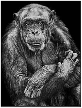 Плакат с изображение на животни, Произведение на изкуството от Шимпанзета, Маймуни, Абстрактно Монтиране на Изкуството, Платно, Начало