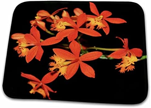 Миниатюрни орхидеи 3dRose Orange - Постелки за баня (rug-179652-1)
